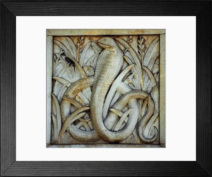 Framed Print : Detail of terracotta moulding of a snake in the Waterhouse B Framed Print : Detail of terracotta moulding of a snake in the Waterhouse B