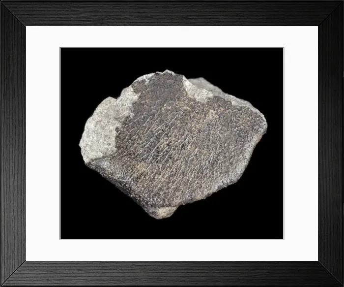 Framed Print : Meteorite. The fusion crust is a thin coating that may be glassy or matt in appearance Framed Print : Meteorite. The fusion crust is a thin coating that may be glassy or matt in appearance