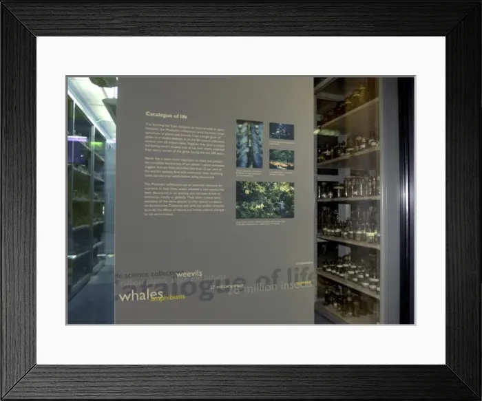 Framed Print : Exhibition panel on display in the Darwin Centre Framed Print : Exhibition panel on display in the Darwin Centre