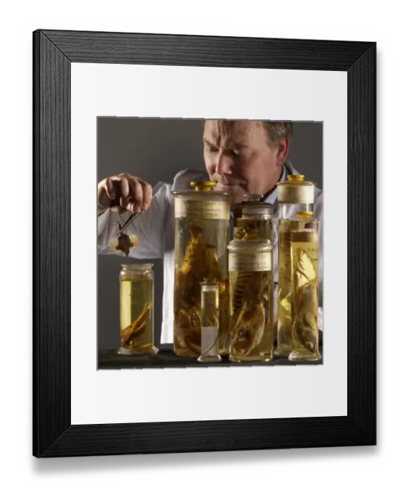 Framed Print : Oliver Crimmen with fish specimens Framed Print : Oliver Crimmen with fish specimens
