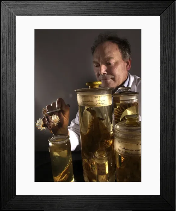 Framed Print : Oliver Crimmen with fish specimens Framed Print : Oliver Crimmen with fish specimens