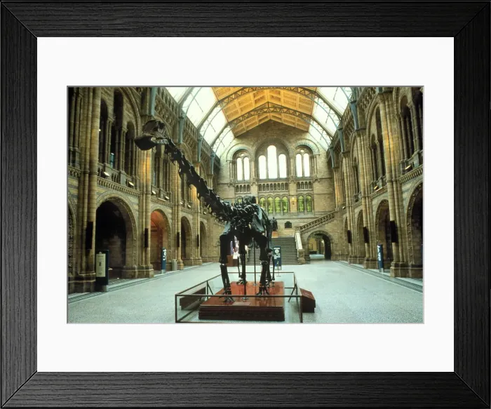 Framed Print : The Central Hall of the Waterhouse Building Framed Print : The Central Hall of the Waterhouse Building