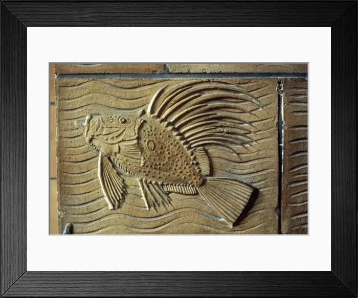 Framed Print : Detail of terracotta moulding of a fish in the Waterhouse Bu Framed Print : Detail of terracotta moulding of a fish in the Waterhouse Bu