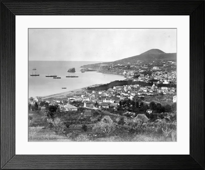 Framed Print : Port in Madeira 1873 Framed Print : Port in Madeira 1873