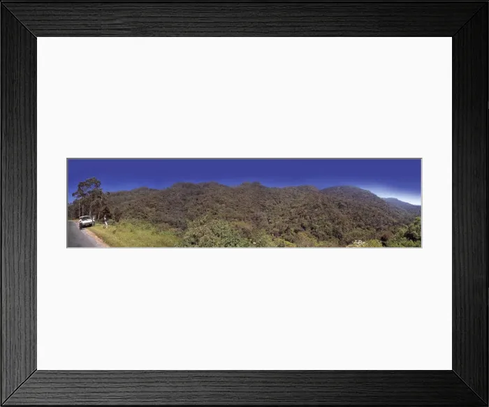 Framed Print : Montane rainforest, Sri Lanka Framed Print : Montane rainforest, Sri Lanka