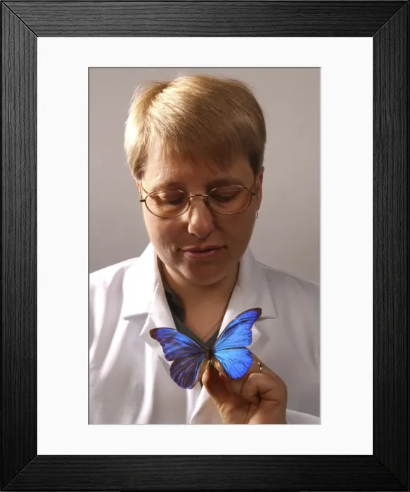 Framed Print : Kim Goodger with butterfly specimen Framed Print : Kim Goodger with butterfly specimen