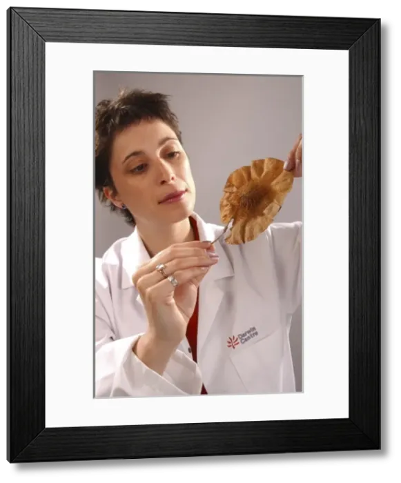 Framed Print : Vicki Noble with botanical specimen Framed Print : Vicki Noble with botanical specimen
