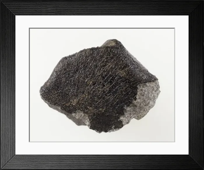 Framed Print : Meteorite. The fusion crust is a thin coating that may be glassy or matte in appearance Framed Print : Meteorite. The fusion crust is a thin coating that may be glassy or matte in appearance