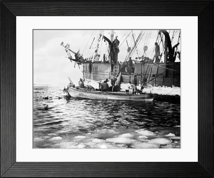 Framed Print : Whaling boats Framed Print : Whaling boats