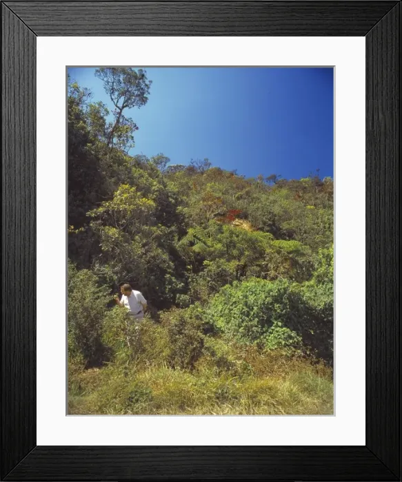 Framed Print : Scientist in Sri Lanka Framed Print : Scientist in Sri Lanka