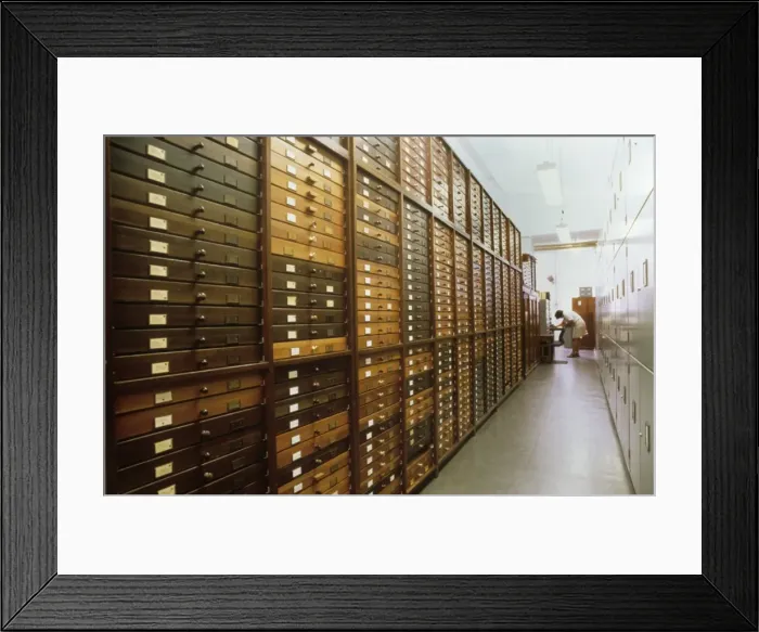 Framed Print : Entomology Department Framed Print : Entomology Department