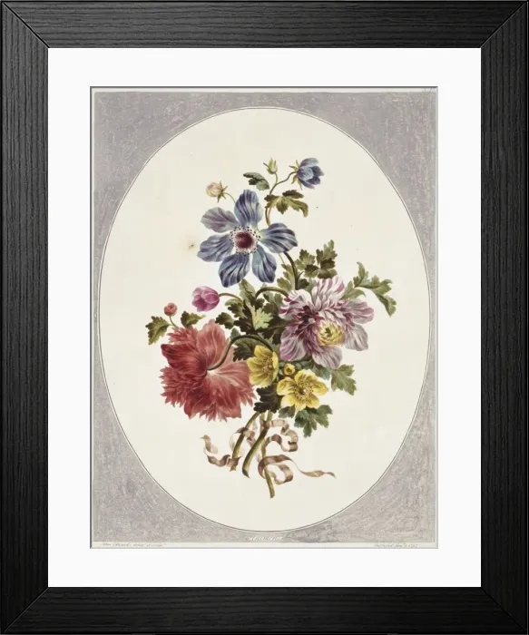 Framed Print : Folio 17 from A Collection of Flowers by John Edwards Framed Print : Folio 17 from A Collection of Flowers by John Edwards