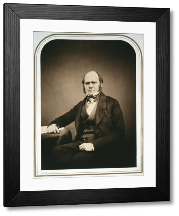 Framed Print : Charles Robert Darwin (1809-1882) Framed Print : Charles Robert Darwin (1809-1882)