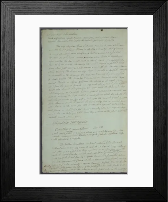 Framed Print : William Bartrams letter to Robert Barclay, 1788 Framed Print : William Bartrams letter to Robert Barclay, 1788
