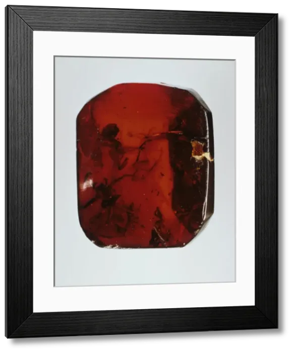 Framed Print : Baltic amber Framed Print : Baltic amber