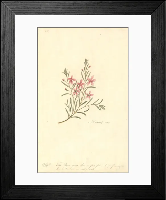 Framed Print : Watercolour 67 from the Watling Collection