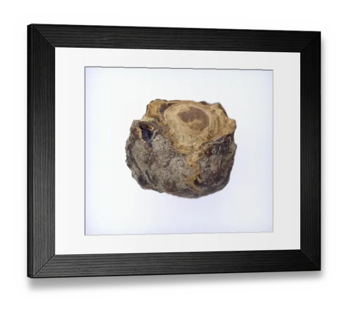 Framed Print : Hastings amber