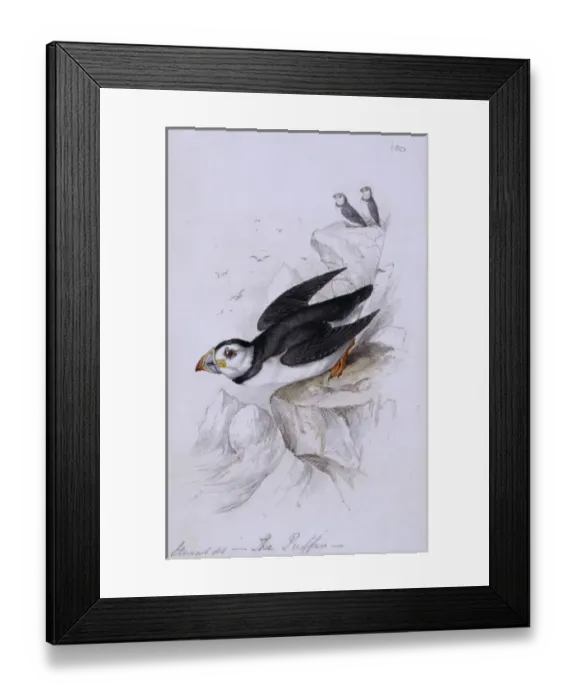 Framed Print : William Bartrams letter to Robert Barclay, 1788 Framed Print : William Bartrams letter to Robert Barclay, 1788