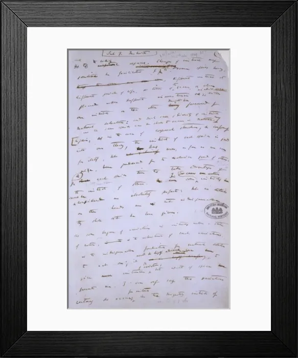 Framed Print : Manuscript page from The Origin of Species Framed Print : Manuscript page from The Origin of Species