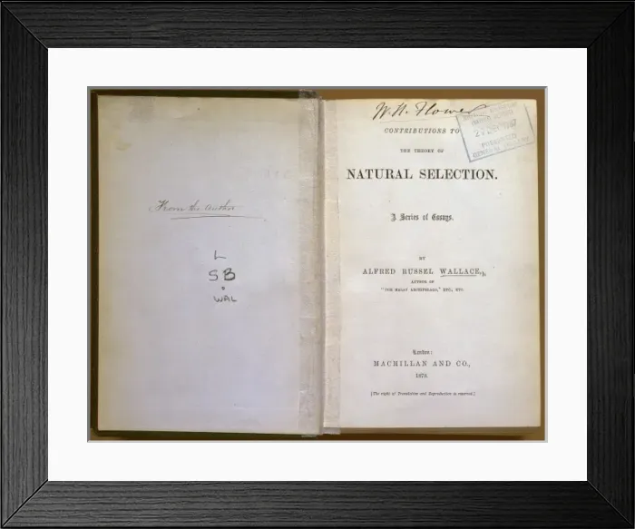Framed Print : Natural Selection Framed Print : Natural Selection