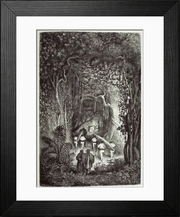 Framed Print : Through the Forest to the Palta Lake Framed Print : Through the Forest to the Palta Lake