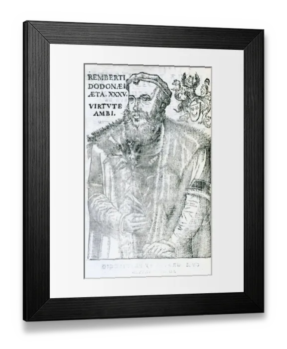 Framed Print : Rembert Dodoens (1516-1585) Framed Print : Rembert Dodoens (1516-1585)
