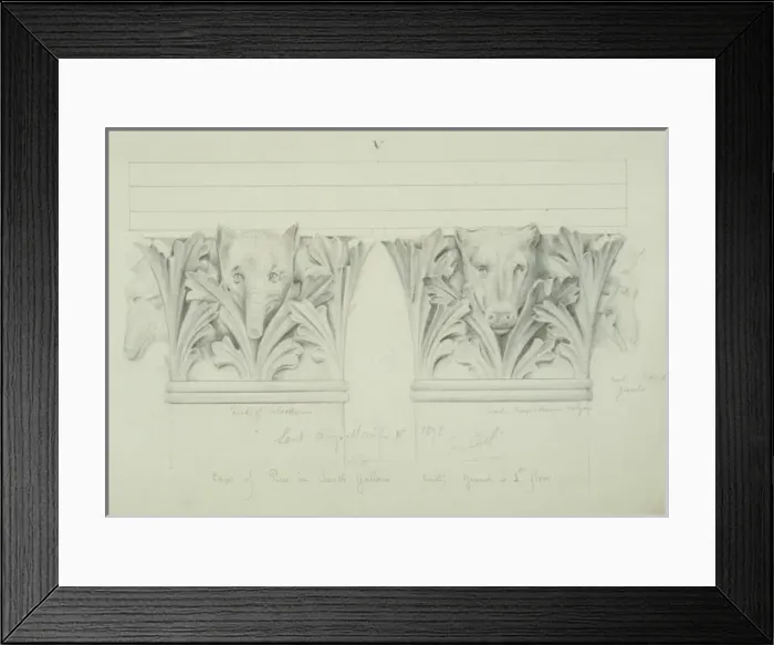 Framed Print : Palaeotherium Anoplotherium vulgaris Framed Print : Palaeotherium Anoplotherium vulgaris