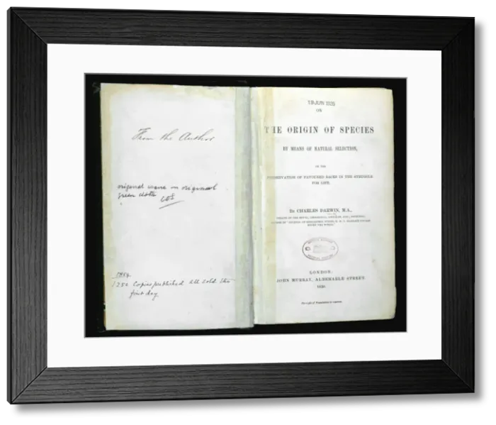 Framed Print : The Origin of Species by Charles Darwin Framed Print : The Origin of Species by Charles Darwin