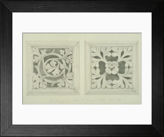 Framed Print : Leaves design Framed Print : Leaves design