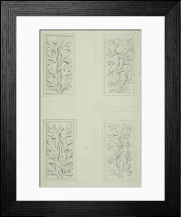 Framed Print : Plant design for museum architecture Framed Print : Plant design for museum architecture