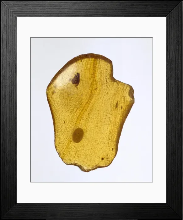 Framed Print : East African copal Framed Print : East African copal