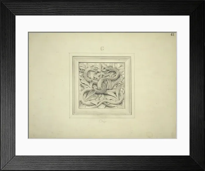 Framed Print : Asps design Framed Print : Asps design