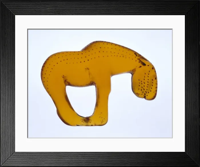 Framed Print : Stone age horse Framed Print : Stone age horse