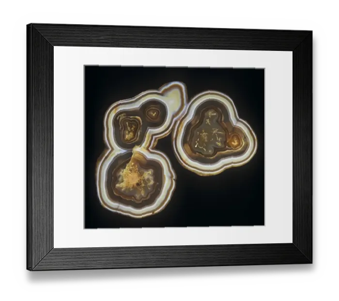 Framed Print : Agate. A polished slice of agate from Uraguay Framed Print : Agate. A polished slice of agate from Uraguay