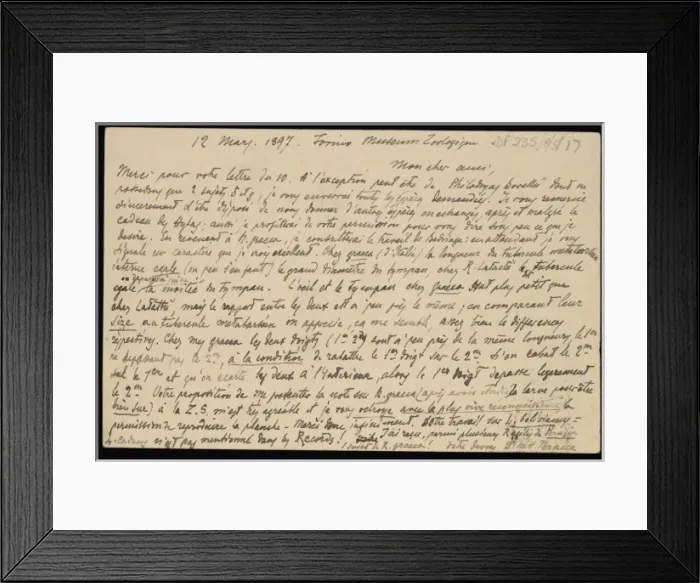 Framed Print : M. G. Perecca to G. A. Boulenger Framed Print : M. G. Perecca to G. A. Boulenger