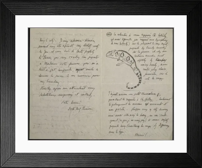 Framed Print : From M. G. Peracca to A. Gunther Framed Print : From M. G. Peracca to A. Gunther