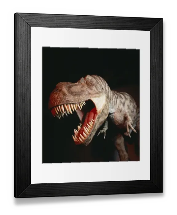 Framed Print : Tyrannosaurus rex Framed Print : Tyrannosaurus rex