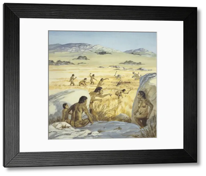 Framed Print : Homo habilis in action Framed Print : Homo habilis in action