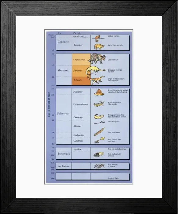 Framed Print : Geological timetable Framed Print : Geological timetable