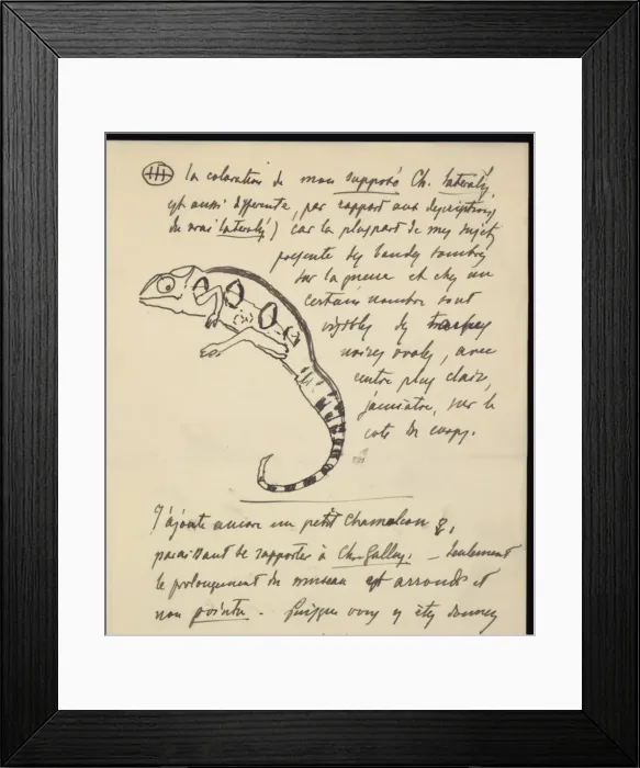 Framed Print : From M. G. Perecca to G. A. Boulenger Framed Print : From M. G. Perecca to G. A. Boulenger
