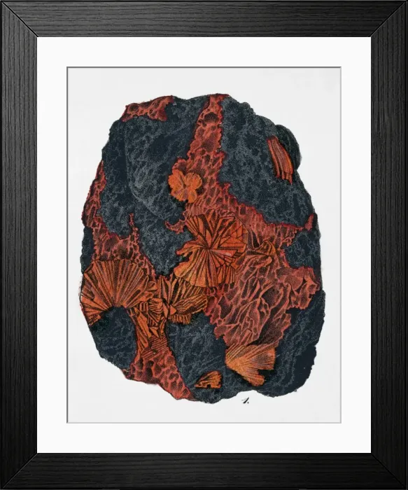 Framed Print : Plate 8, fig 1 from Mineralienbuch Framed Print : Plate 8, fig 1 from Mineralienbuch