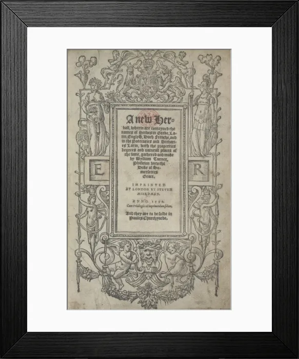 Framed Print : Title page from A New Herball by William Turner Framed Print : Title page from A New Herball by William Turner