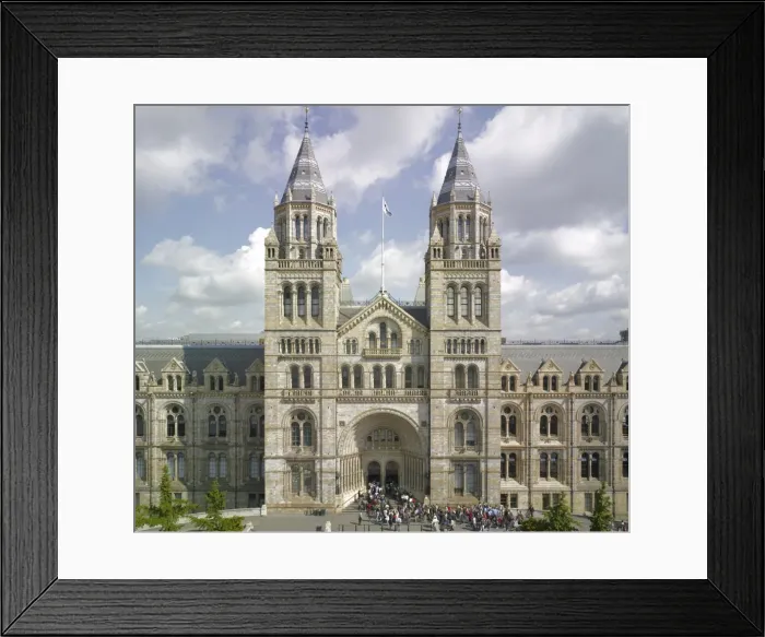 Framed Print : The Natural History Museum, London Framed Print : The Natural History Museum, London