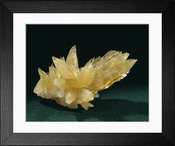 Framed Print : Calcite. Honey-coloured crystals of scalenohedral dog-tooth calcite Framed Print : Calcite. Honey-coloured crystals of scalenohedral dog-tooth calcite