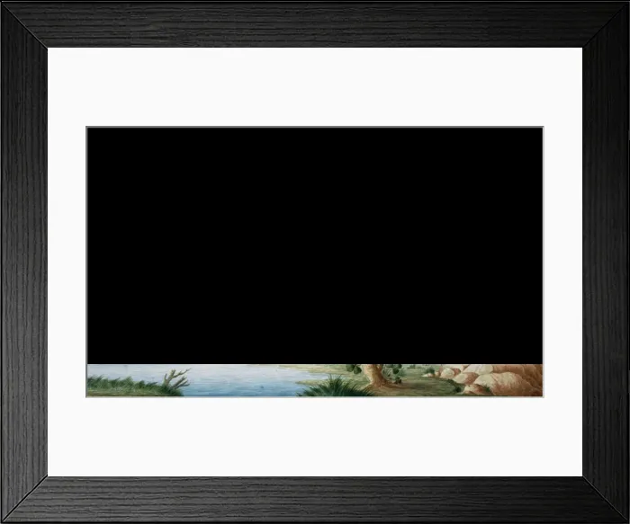 Framed Print : Alcedo atthis bengalensis, common kingfisher Framed Print : Alcedo atthis bengalensis, common kingfisher