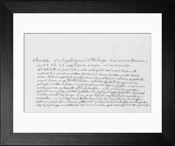 Framed Print : Detail of manuscript text Framed Print : Detail of manuscript text