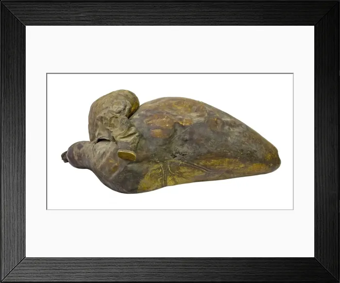 Framed Print : Whale heart Framed Print : Whale heart