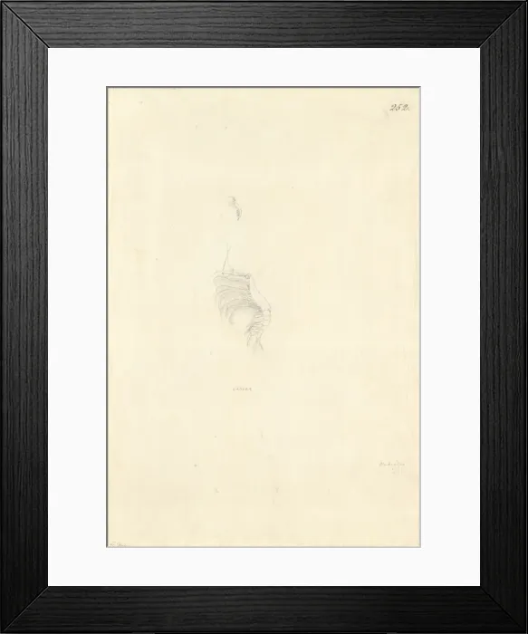 Framed Print : Ff. 252 sketch by George Forster Framed Print : Ff. 252 sketch by George Forster