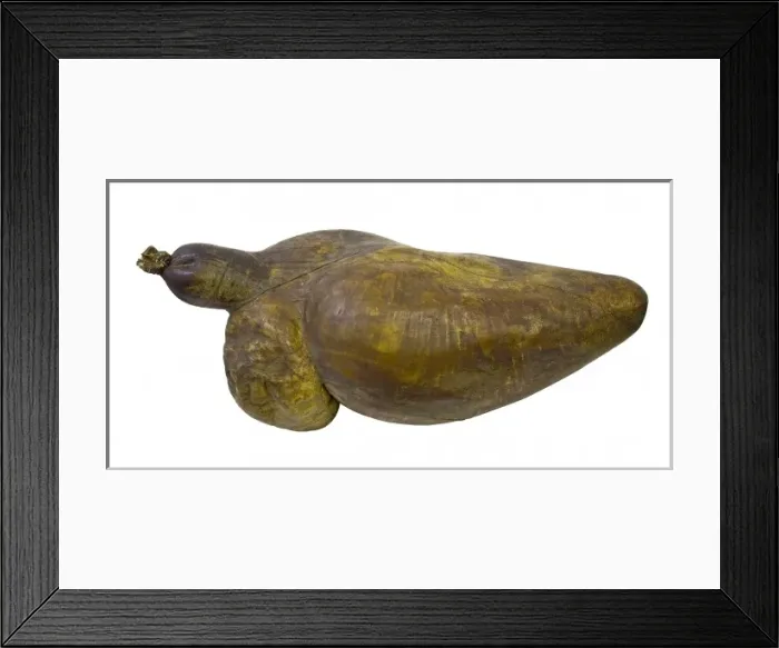 Framed Print : Whale heart Framed Print : Whale heart