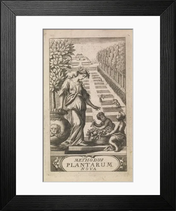 Framed Print : New Methods of Plants 1682 Framed Print : New Methods of Plants 1682